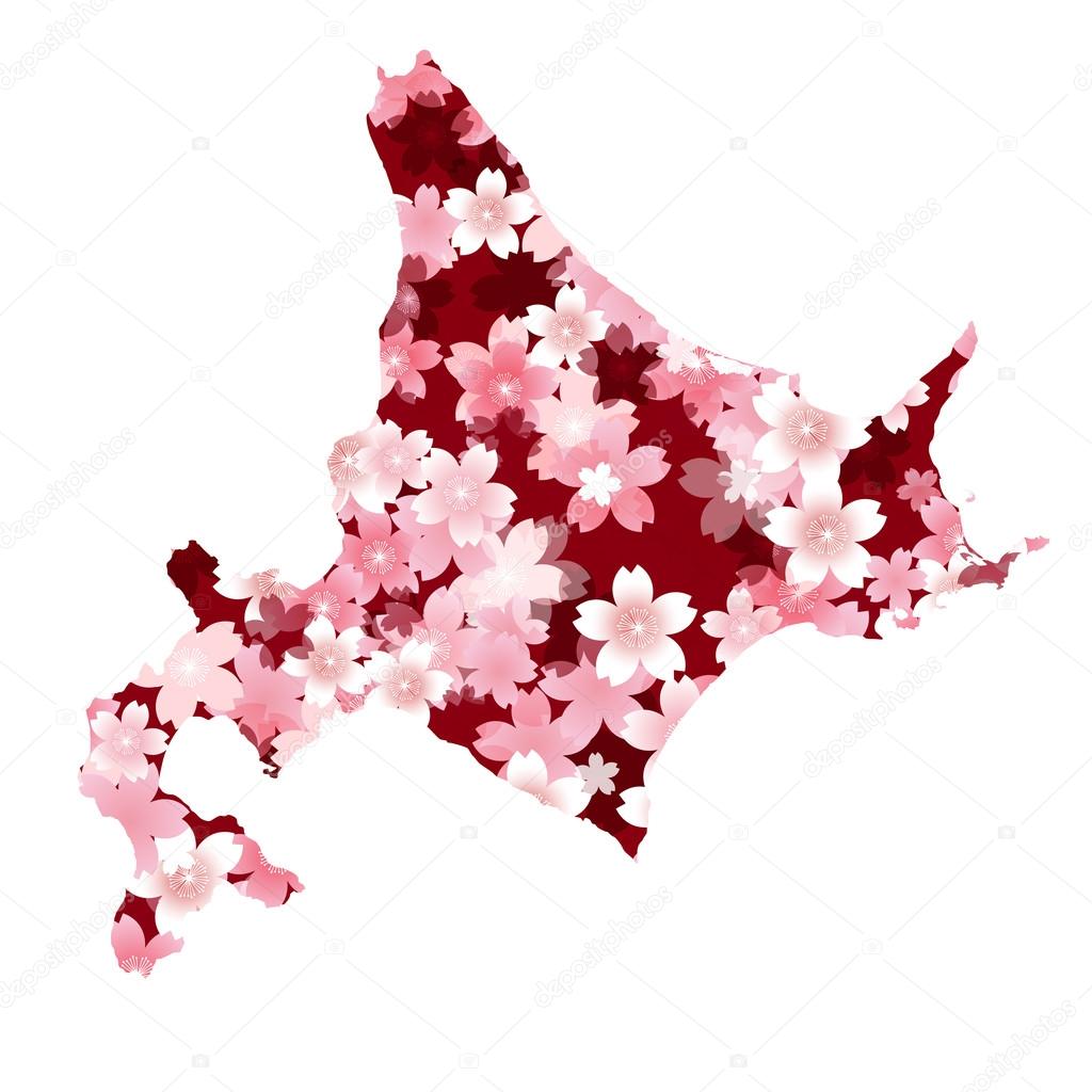 Hokkaido　spring cherry blossoms
